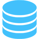 Data Storage logo
